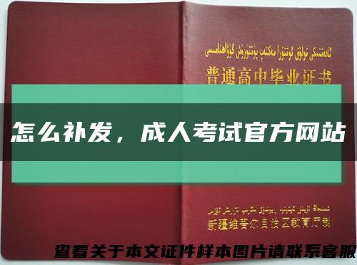 怎么補發，成人考試官方網站縮略圖