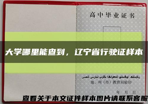 大學哪里能查到，遼寧省行駛證樣本縮略圖