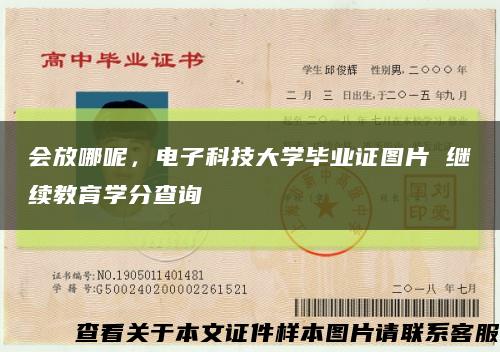 會放哪呢，電子科技大學畢業證圖片 繼續教育學分查詢縮略圖