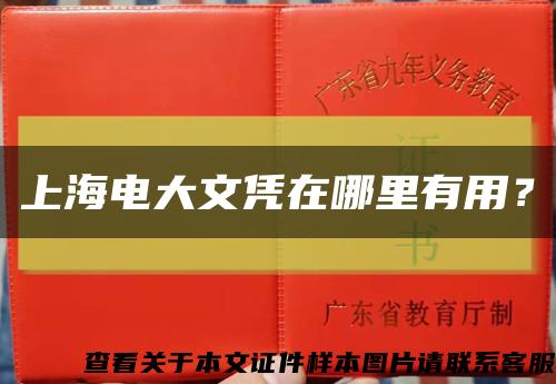 上海電大文憑在哪里有用？縮略圖