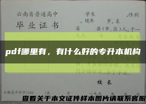 pdf哪里有，有什么好的專升本機構縮略圖