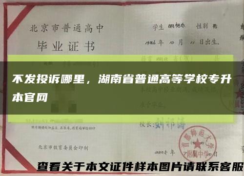 不發投訴哪里，湖南省普通高等學校專升本官網縮略圖
