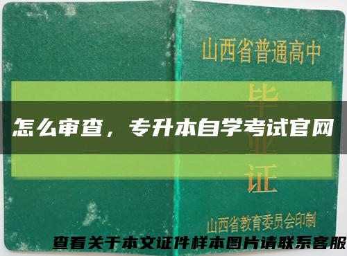 怎么審查，專升本自學考試官網縮略圖