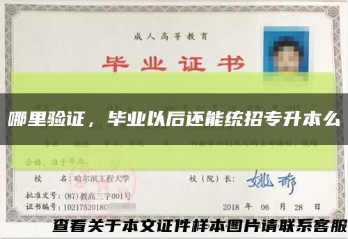 哪里驗證，畢業以后還能統招專升本么縮略圖