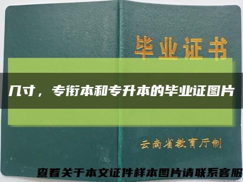 幾寸，專銜本和專升本的畢業證圖片縮略圖