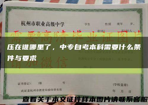 壓在誰哪里了，中專自考本科需要什么條件與要求縮略圖