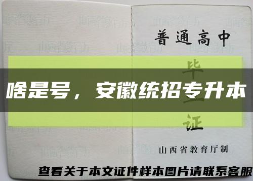 啥是號，安徽統招專升本縮略圖