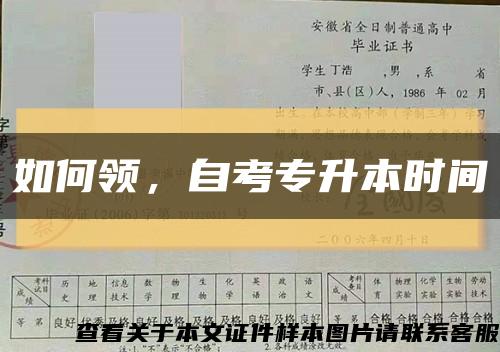 如何領，自考專升本時間縮略圖