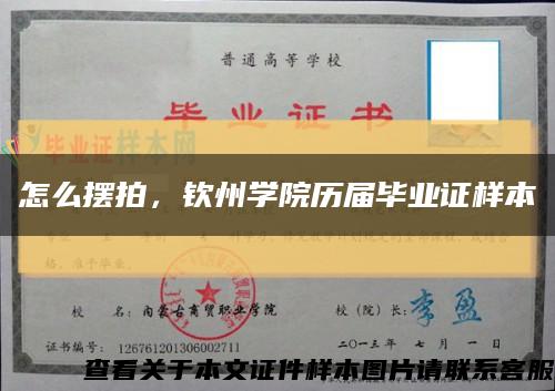 怎么擺拍，欽州學院歷屆畢業證樣本縮略圖