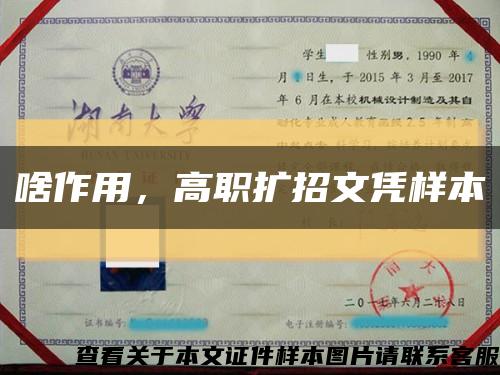 啥作用，高職擴招文憑樣本縮略圖