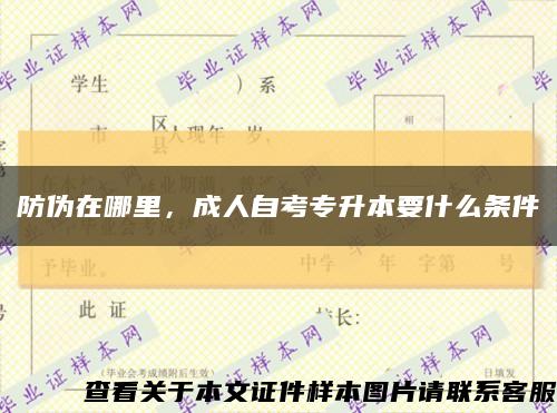 防偽在哪里，成人自考專升本要什么條件縮略圖