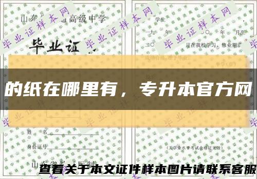 的紙在哪里有，專升本官方網縮略圖
