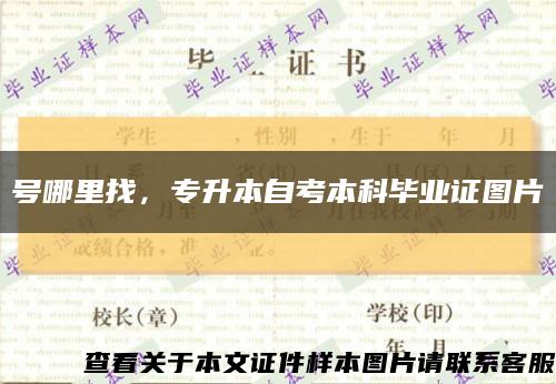 號哪里找，專升本自考本科畢業證圖片縮略圖