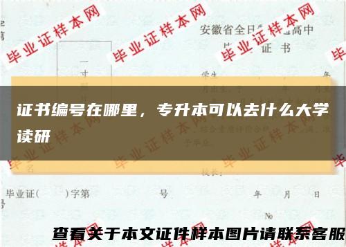 證書編號在哪里，專升本可以去什么大學讀研縮略圖