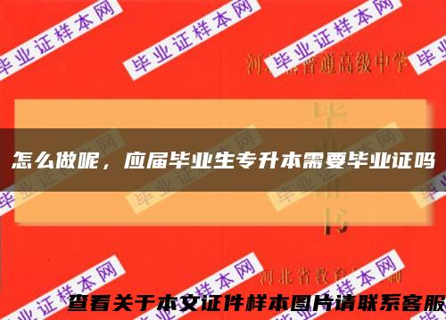 怎么做呢，應屆畢業生專升本需要畢業證嗎縮略圖