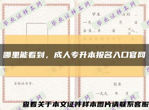 哪里能看到，成人專升本報名入口官網縮略圖