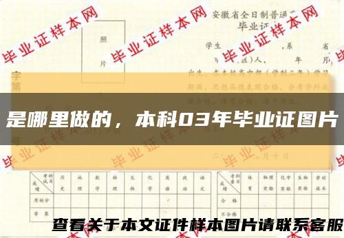 是哪里做的，本科03年畢業證圖片縮略圖