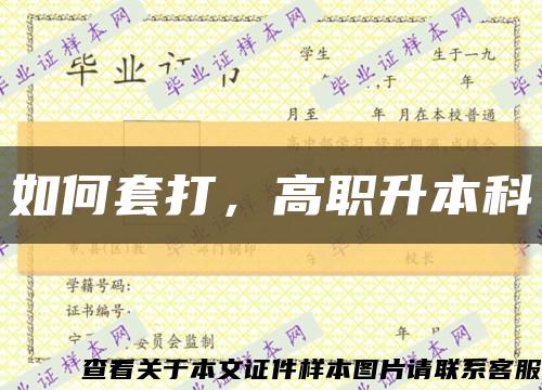 如何套打，高職升本科縮略圖