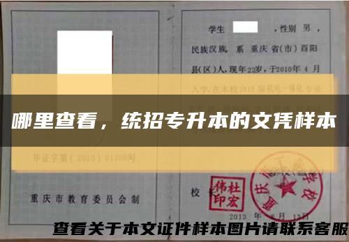 哪里查看，統招專升本的文憑樣本縮略圖