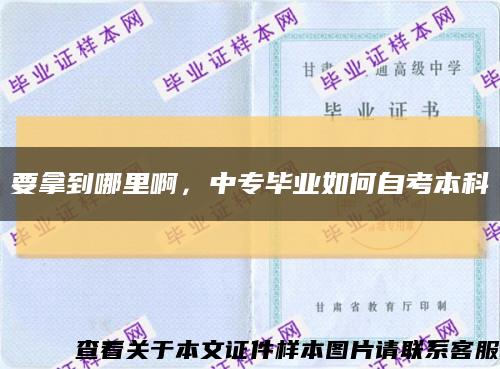 要拿到哪里啊，中專畢業如何自考本科縮略圖