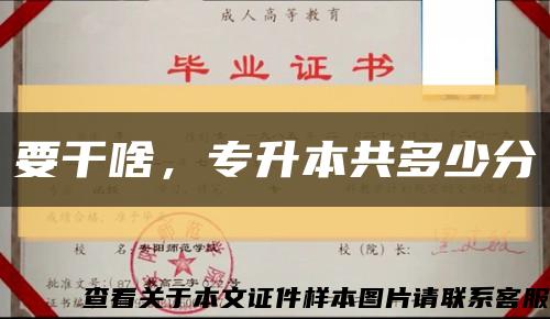 要干啥，專升本共多少分縮略圖