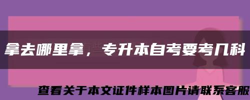 拿去哪里拿，專升本自考要考幾科縮略圖