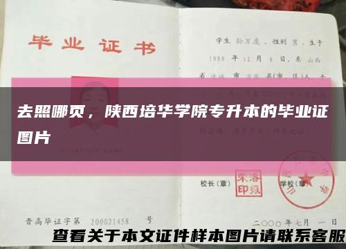 去照哪頁，陜西培華學院專升本的畢業證圖片縮略圖