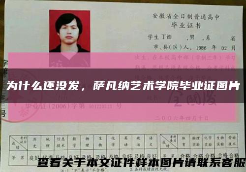 為什么還沒發，薩凡納藝術學院畢業證圖片縮略圖