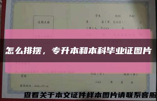 怎么排擺，專升本和本科畢業證圖片縮略圖