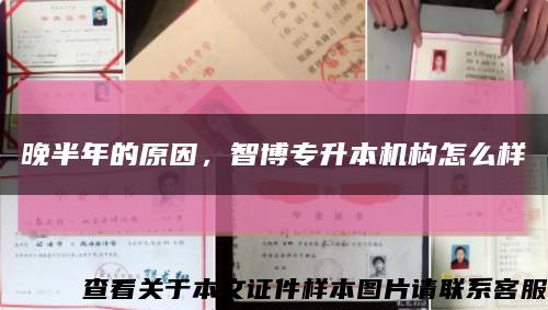 晚半年的原因，智博專升本機構怎么樣縮略圖