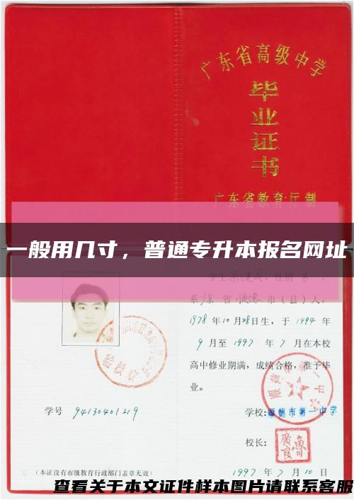 一般用幾寸，普通專升本報名網址縮略圖