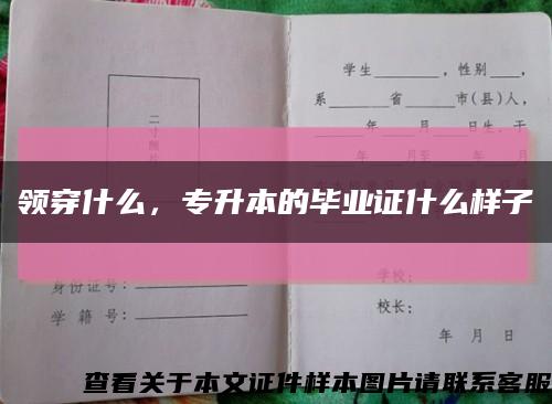 領穿什么，專升本的畢業證什么樣子縮略圖