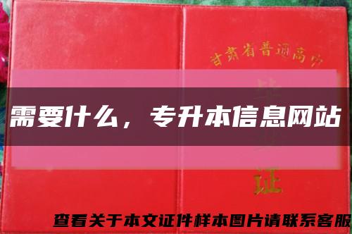 需要什么，專升本信息網站縮略圖