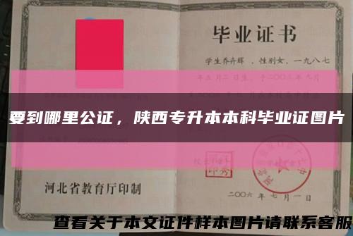 要到哪里公證，陜西專升本本科畢業證圖片縮略圖