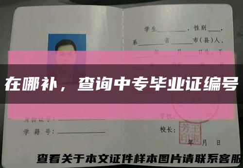 在哪補，查詢中專畢業證編號縮略圖
