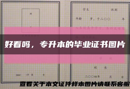 好看嗎，專升本的畢業證書圖片縮略圖