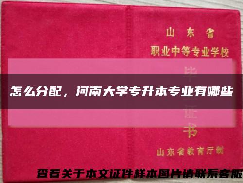怎么分配，河南大學專升本專業有哪些縮略圖