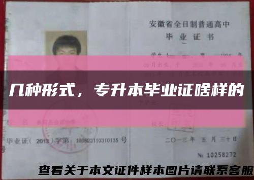 幾種形式，專升本畢業證啥樣的縮略圖