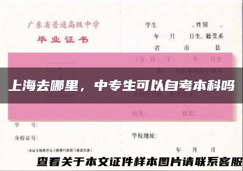 上海去哪里，中專生可以自考本科嗎縮略圖