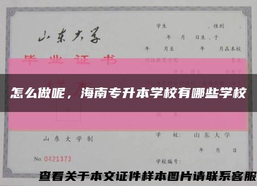 怎么做呢，海南專升本學校有哪些學?？s略圖