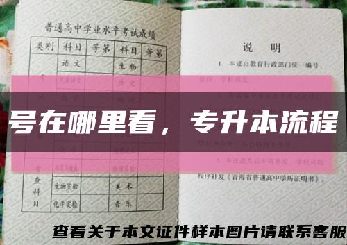 號在哪里看，專升本流程縮略圖