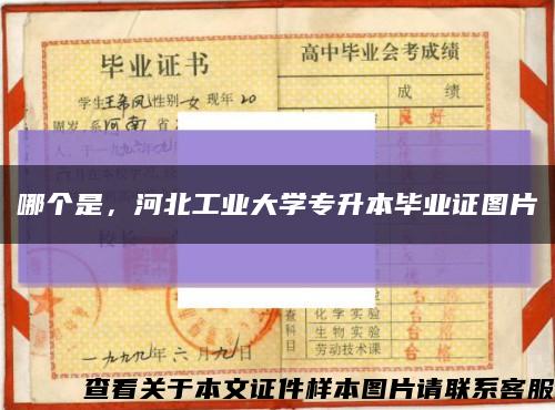 哪個是，河北工業大學專升本畢業證圖片縮略圖