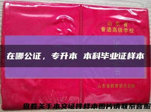 在哪公證，專升本 本科畢業證樣本縮略圖