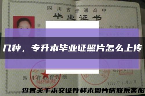 幾種，專升本畢業證照片怎么上傳縮略圖