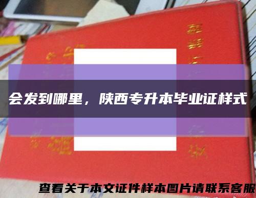 會發到哪里，陜西專升本畢業證樣式縮略圖