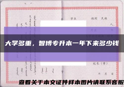大學多重，智博專升本一年下來多少錢縮略圖