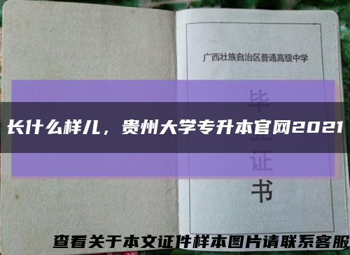 長什么樣兒，貴州大學專升本官網2021縮略圖