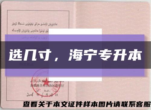 選幾寸，海寧專升本縮略圖