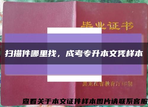 掃描件哪里找，成考專升本文憑樣本縮略圖