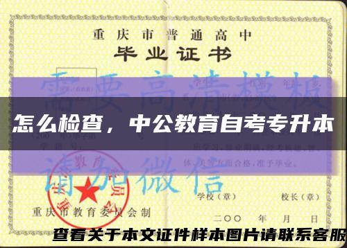 怎么檢查，中公教育自考專升本縮略圖